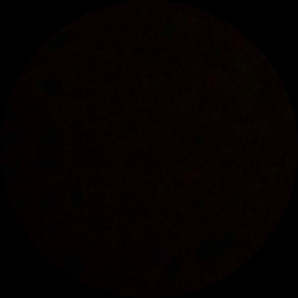 elenaparmenter1